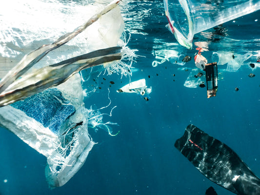Are Plant-Based and Recycled Materials Effective Alternatives to Plastic?