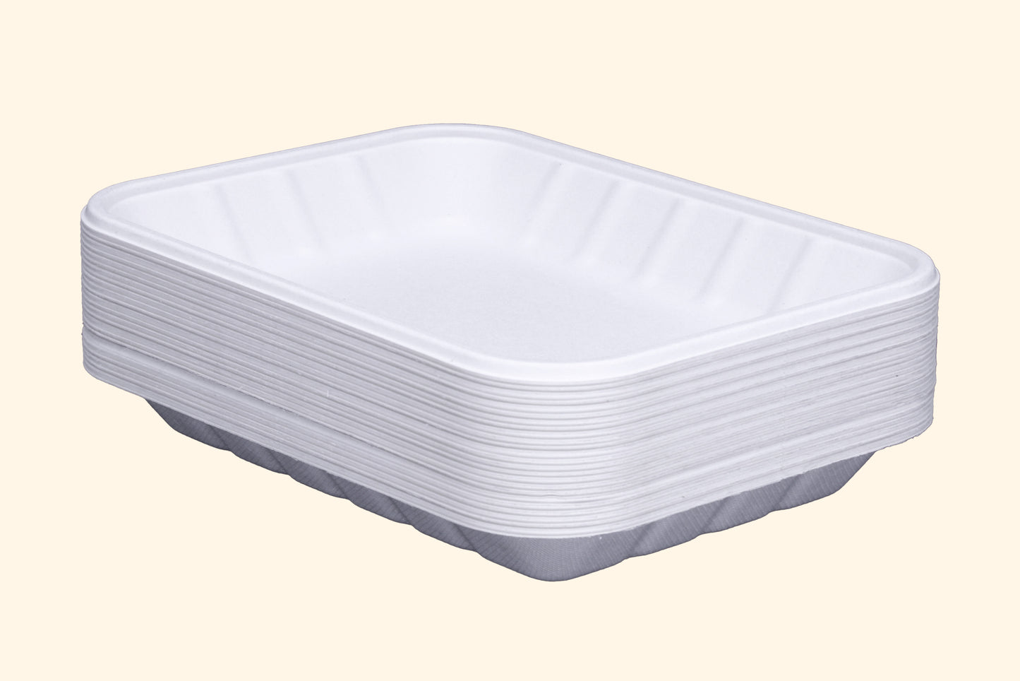 10-Inch-Rectangle-Trays-Compostable-Sugarcane-Bagasse-Tray-Plate