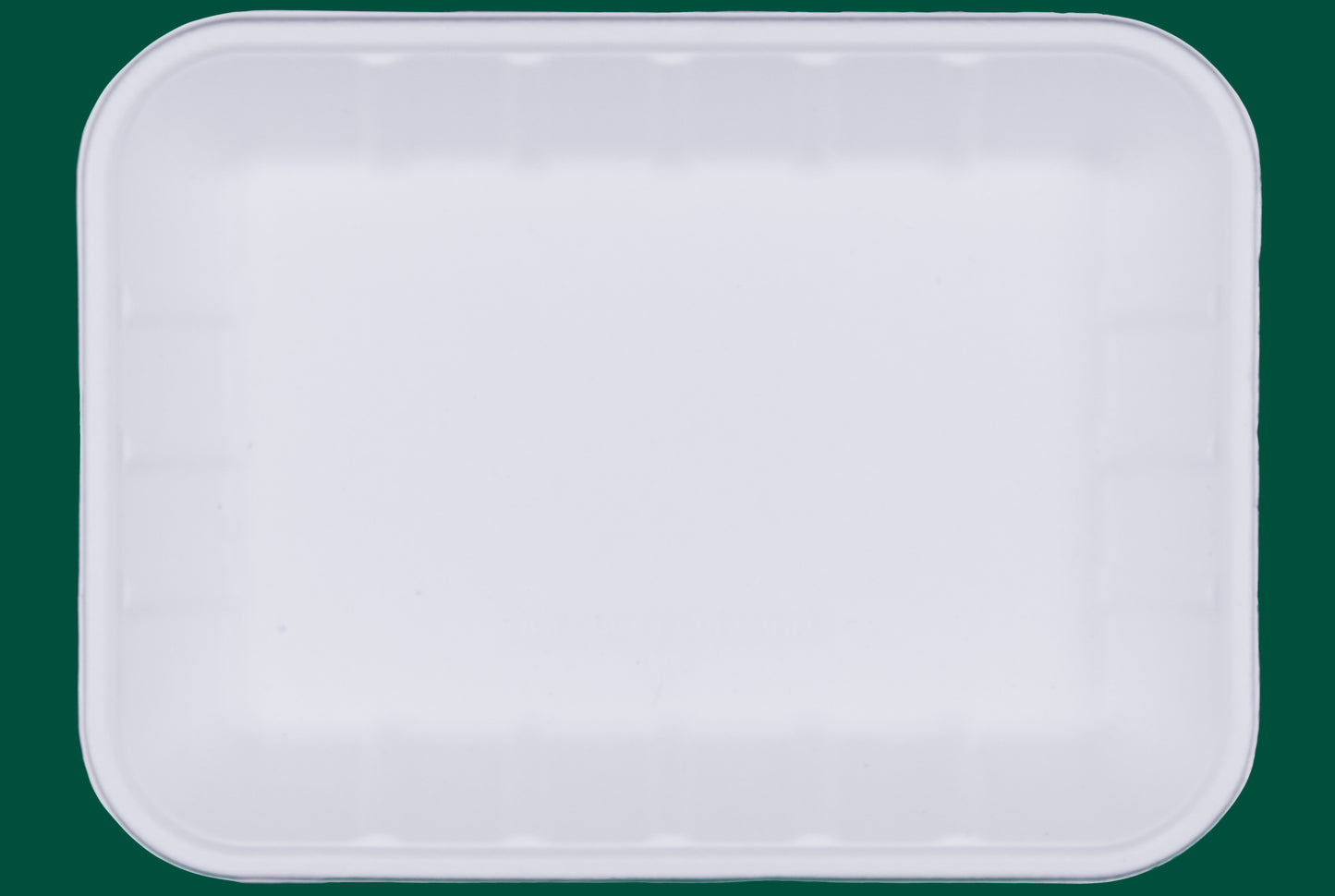 10-Inch-Rectangle-Trays-Compostable-Sugarcane-Bagasse-Tray-Plates