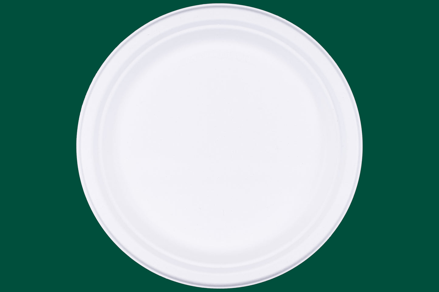 10-Inch-Round-Plates-Compostable-Sugarcane-Bagasse-Plates