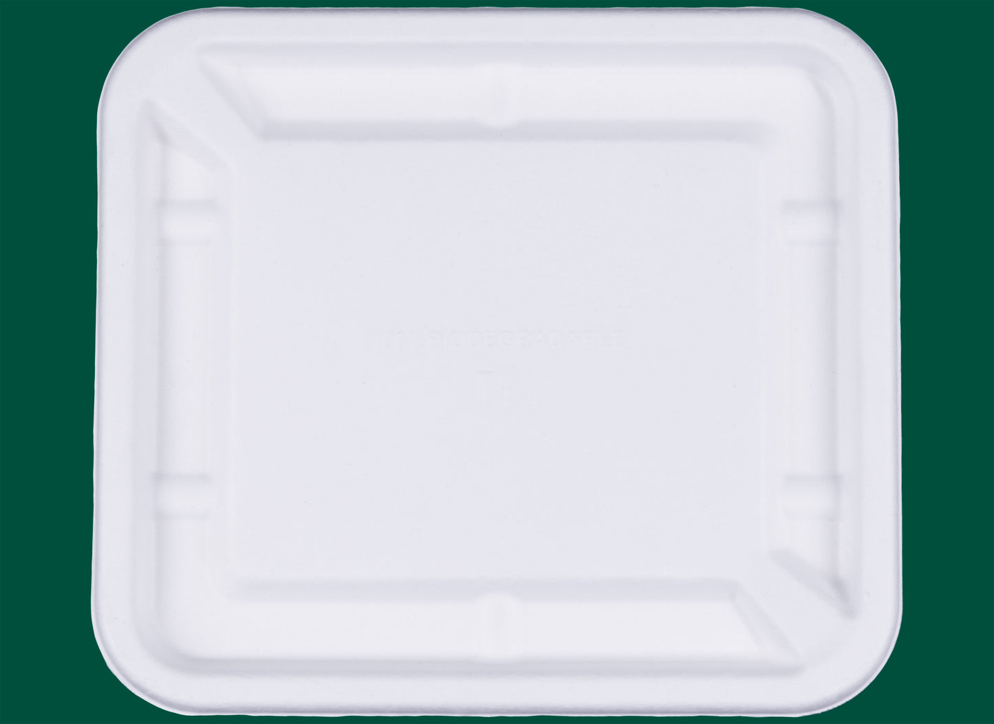 25-Oz-Rectangle-Bowl-Lids-Compostable-Sugarcane-Bagasse-Bowl-Lids