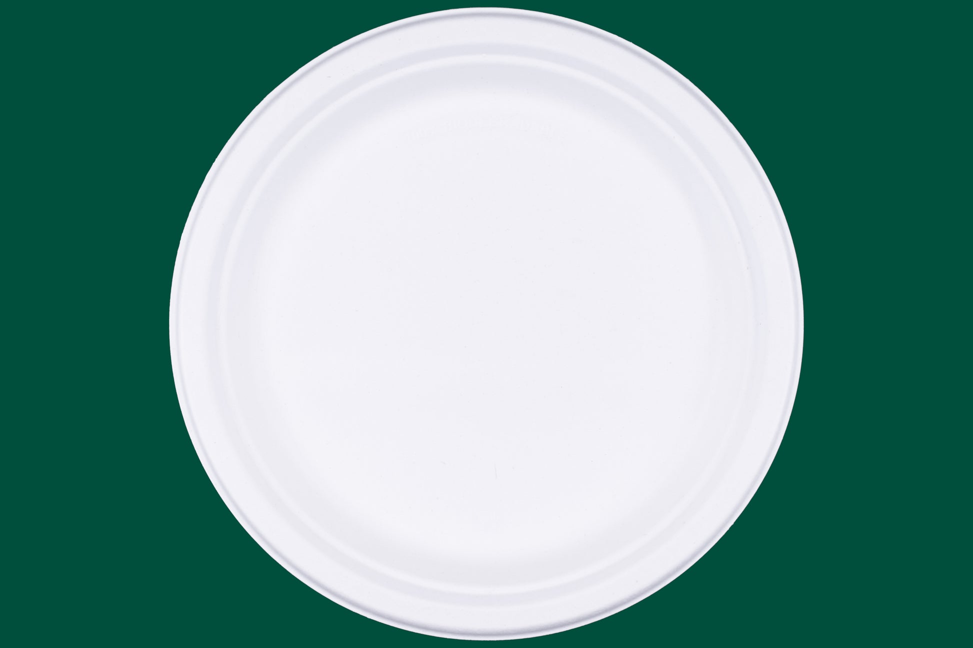 10-Inch-Round-Plates-Compostable-Sugarcane-Bagasse-Plates