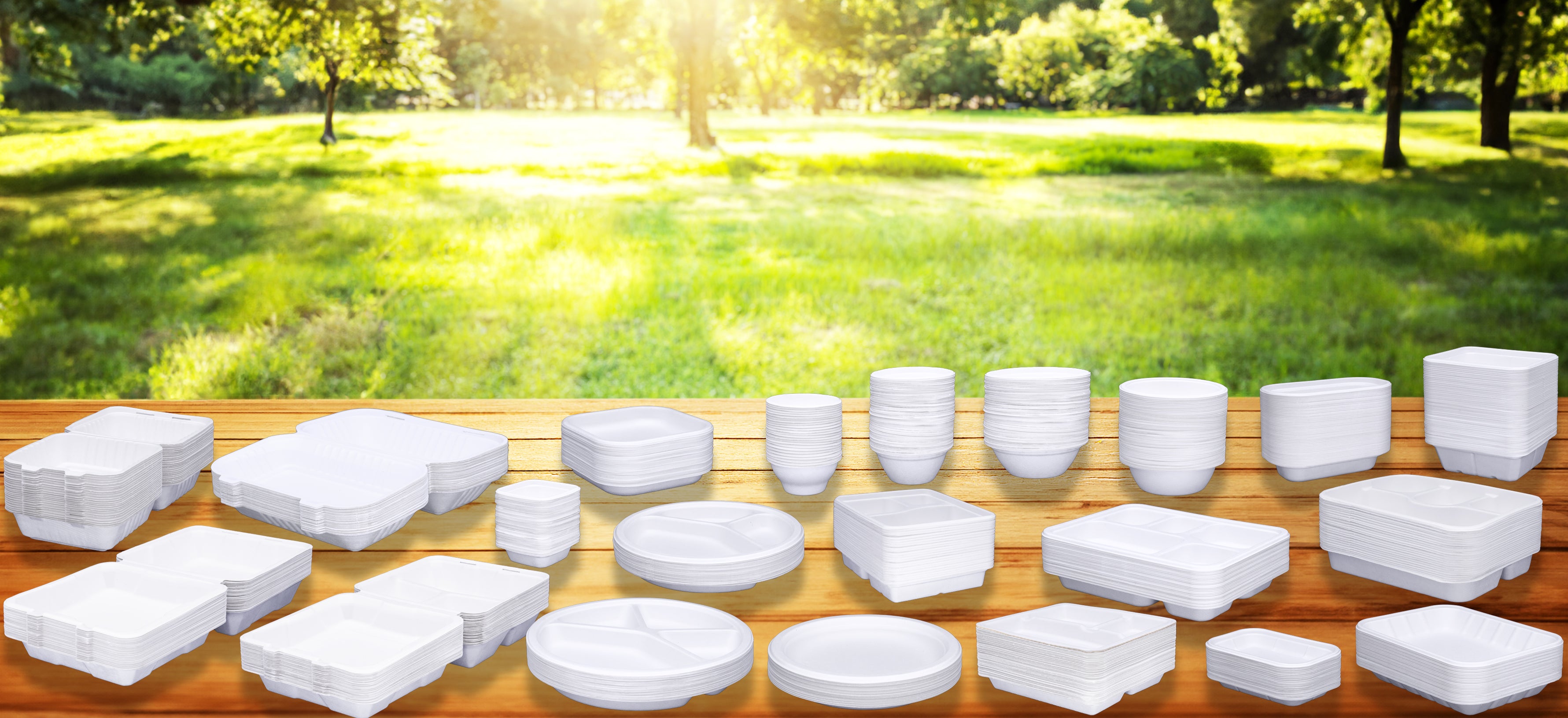 Biodegradable-and-compostable-tableware-Biocare