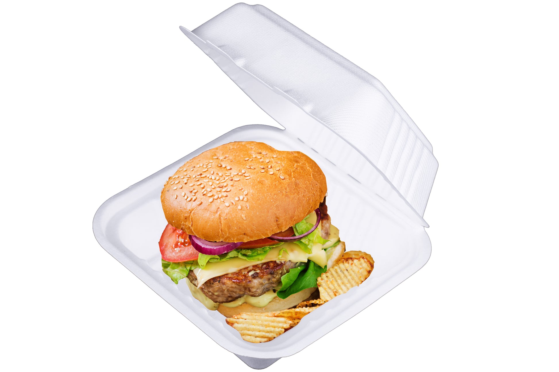 high-angle-delicious-food-burger-ham-hamburger-6x6-Inch-Clamshells-Compostable-Sugarcane-Bagasse-Clamshell